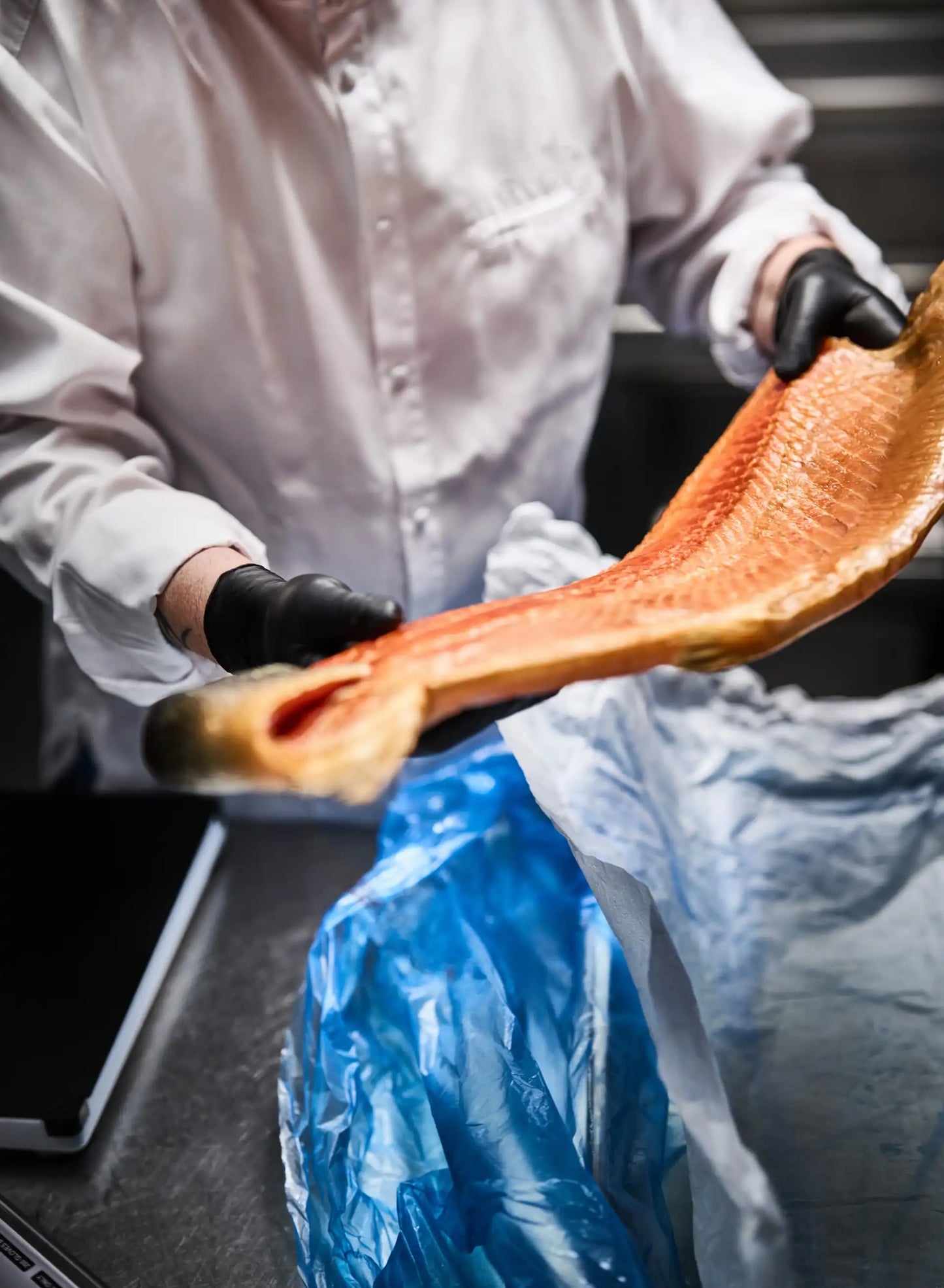 Granberg 635 svarte Soft Nitrile engangshansker brukt ved håndtering av laksefilet – pudderfri, akseleratorfri og matgodkjent