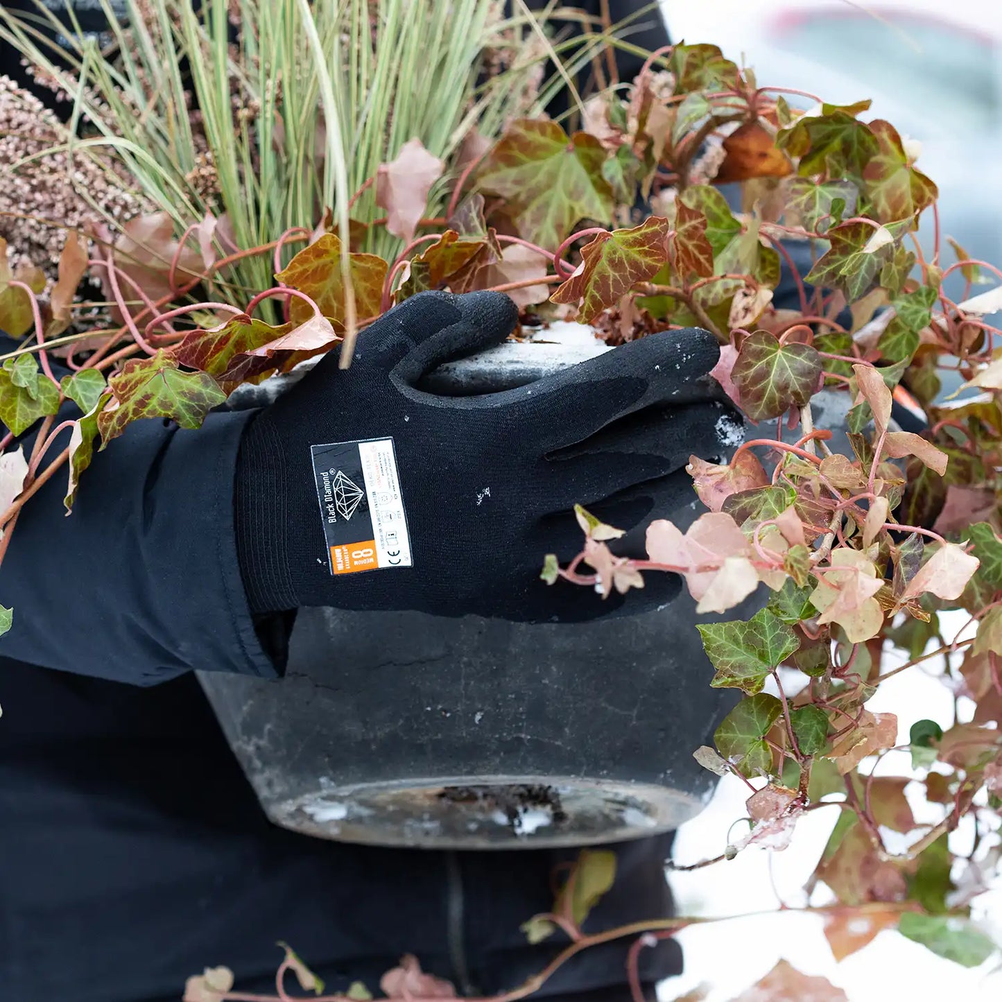 Granberg 0400W hanske i bruk ved håndtering av planter utendørs i kaldt vær – godt grep og varmeegenskaper