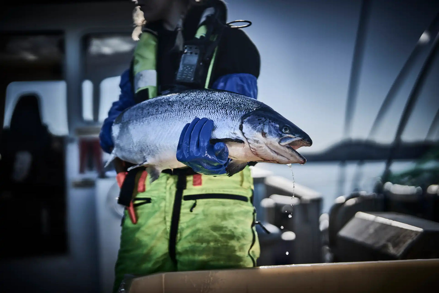 Granberg 0660 nitrilhansker – holder laks i vått miljø; tåler laksefett og kjemikalie