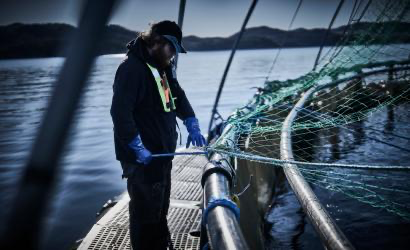 Illustrasjon – kjemikaliebestandige hansker for industri